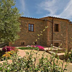 Degli Ulivi , Lajatico Italien